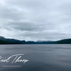 Escape from Lockdown