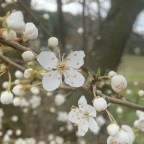 Spring, new beginnings.