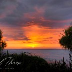 Escape to Arran 4 Realm of the Vikings