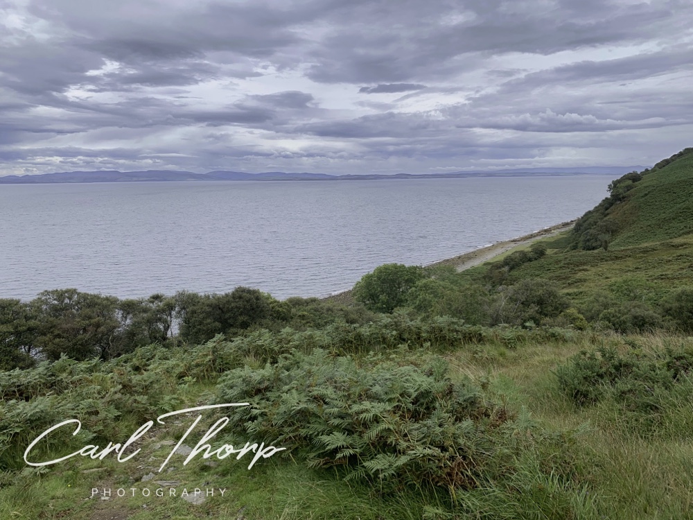 View down the hillside to Fairy Dell Isle of Arran and out to sea
