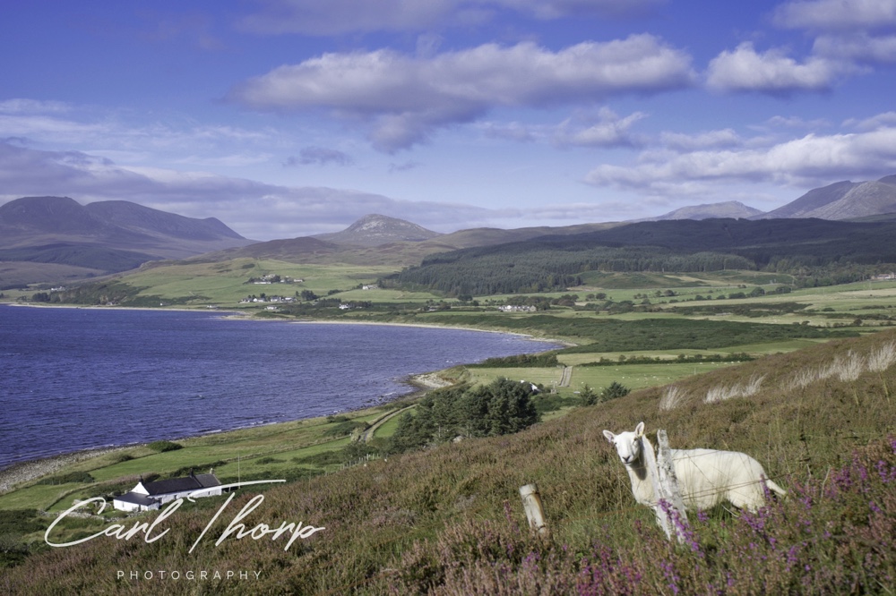 View across the bay to Machriewate Foot 
