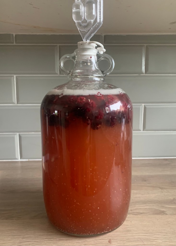 Demijohn full of what we hope will become blackberry mead